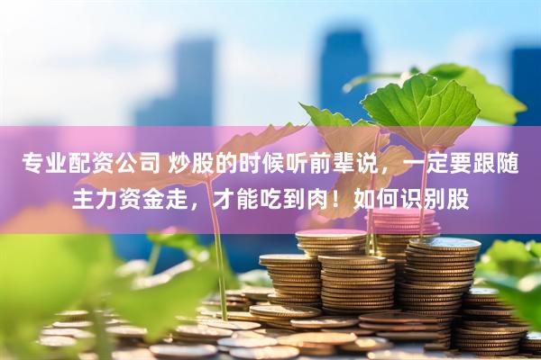 专业配资公司 炒股的时候听前辈说，一定要跟随主力资金走，才能吃到肉！如何识别股