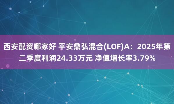 西安配资哪家好 平安鼎弘混合(LOF)A：2025年第二季度利润24.33万元 净值增长率3.79%