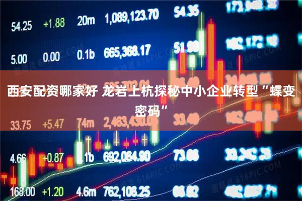 西安配资哪家好 龙岩上杭探秘中小企业转型“蝶变密码”