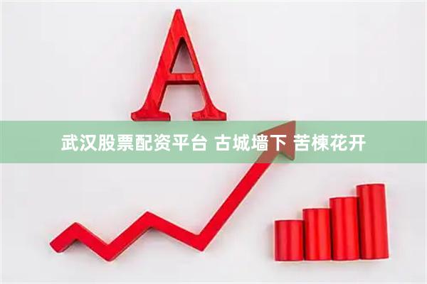 武汉股票配资平台 古城墙下 苦楝花开